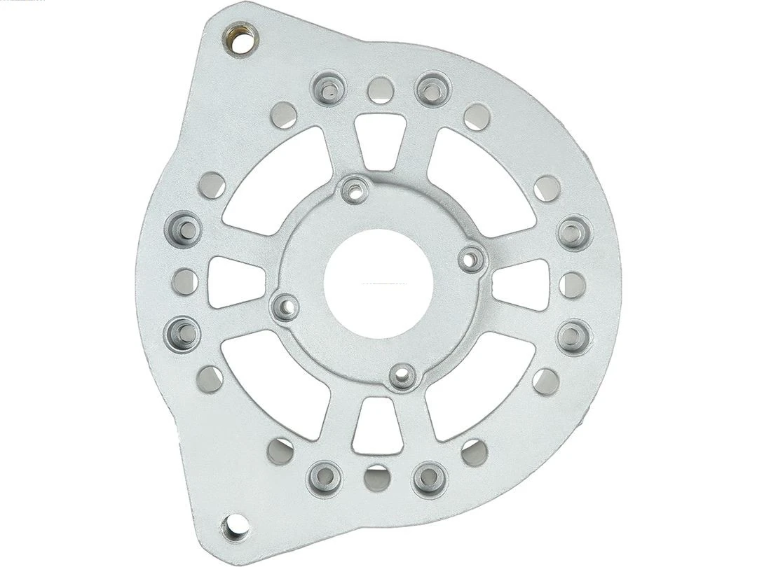 Capac protector alternator