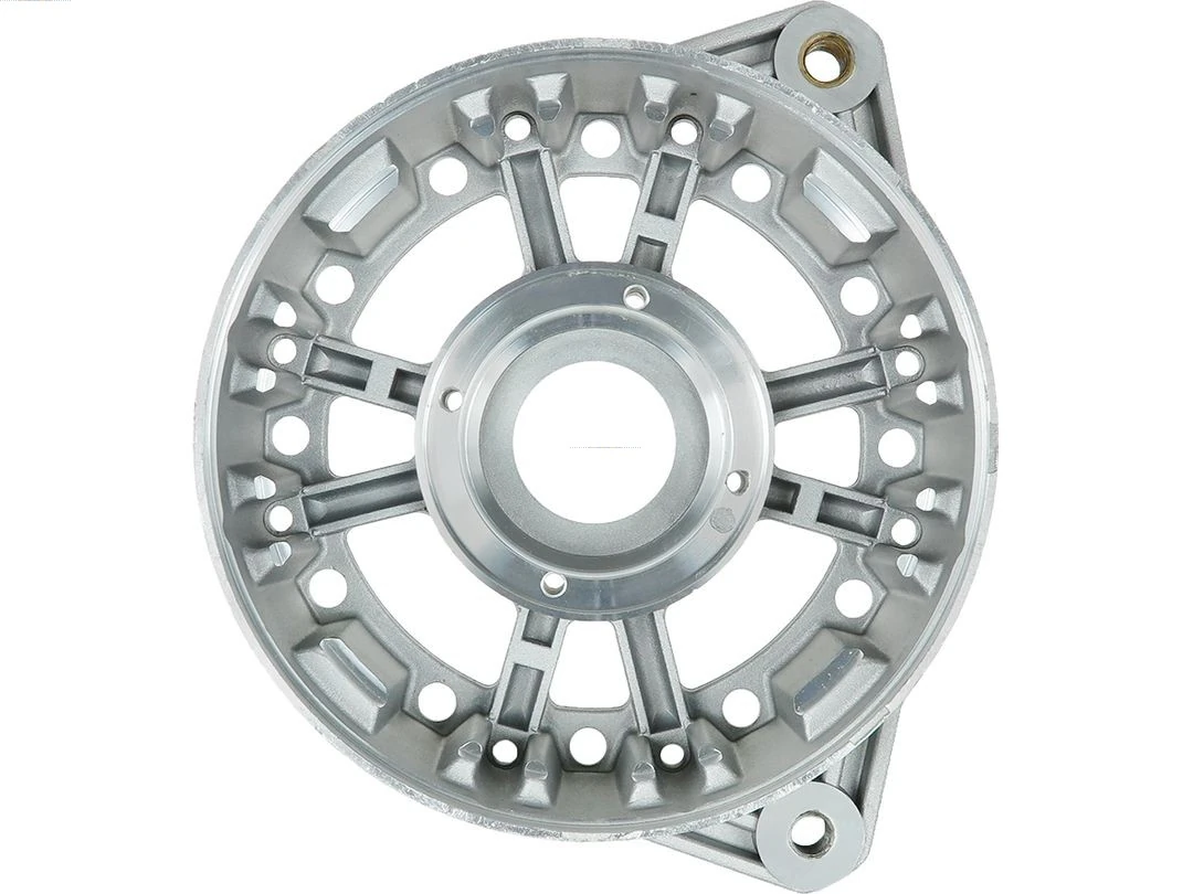 Capac protector alternator