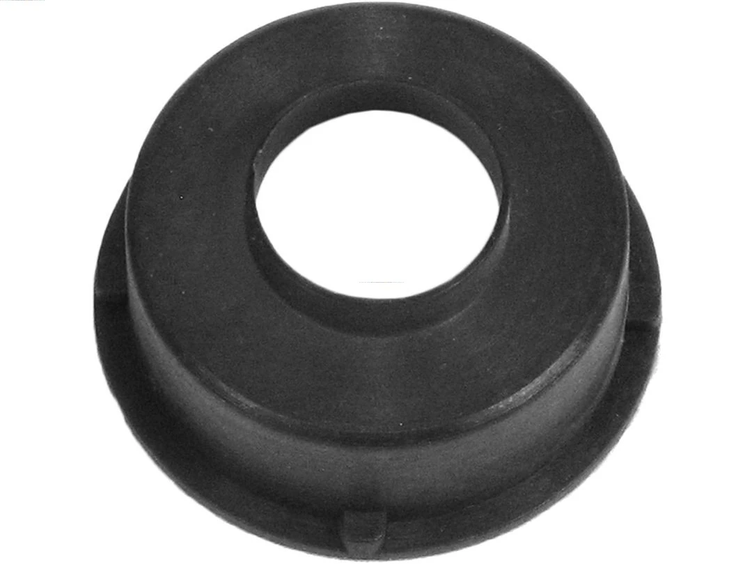 Capac protector alternator