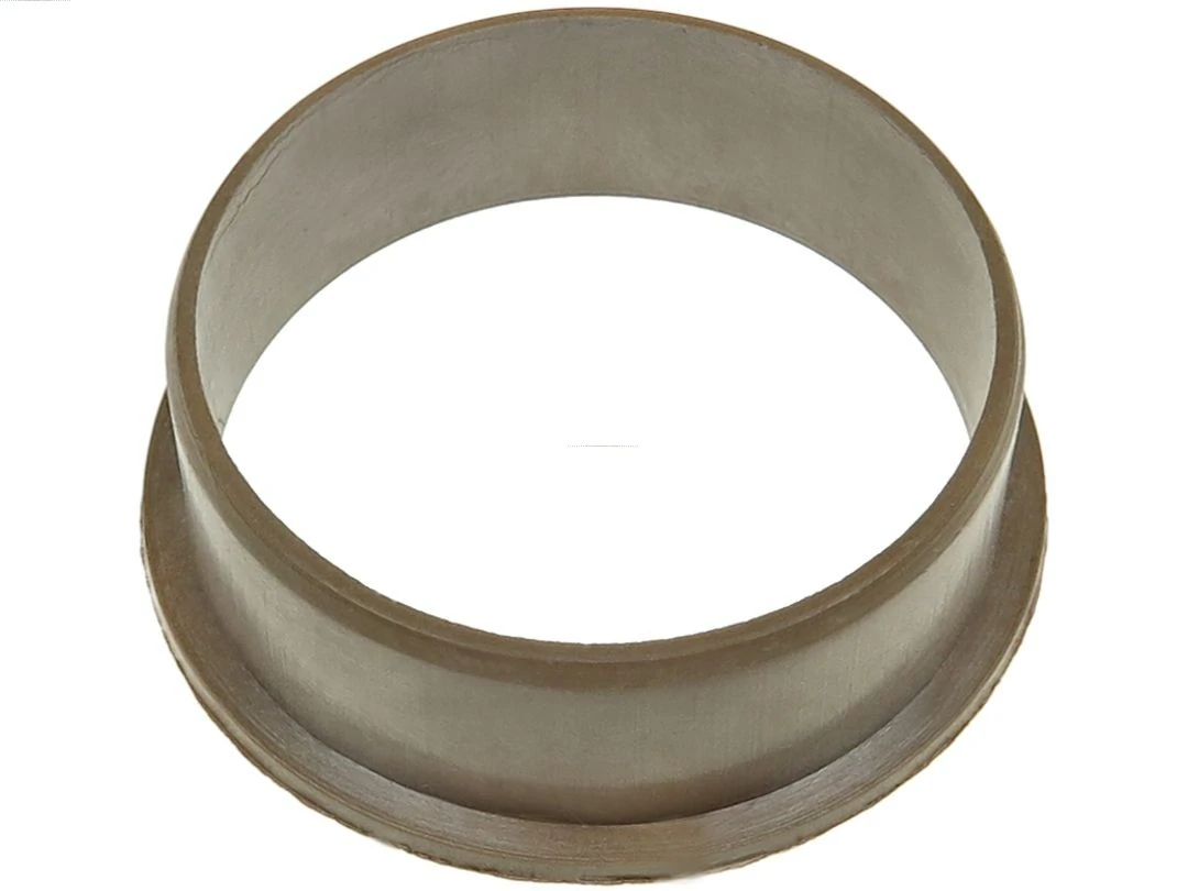 Capac protector alternator