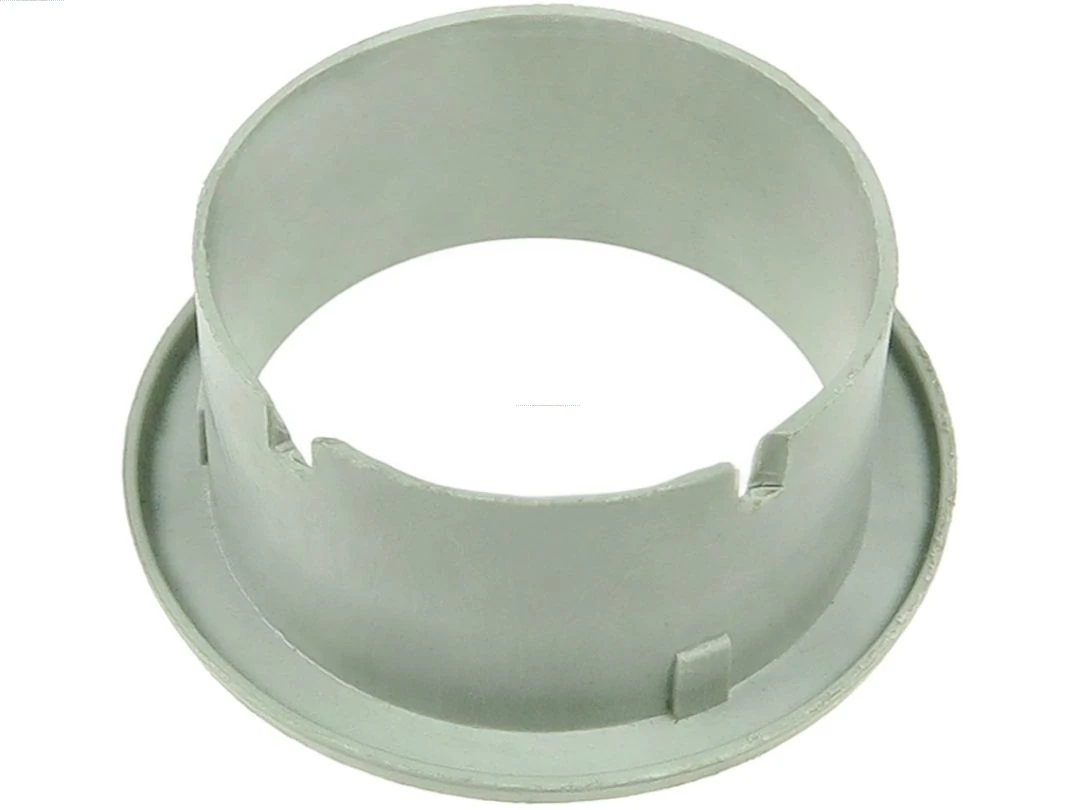 Capac protector alternator