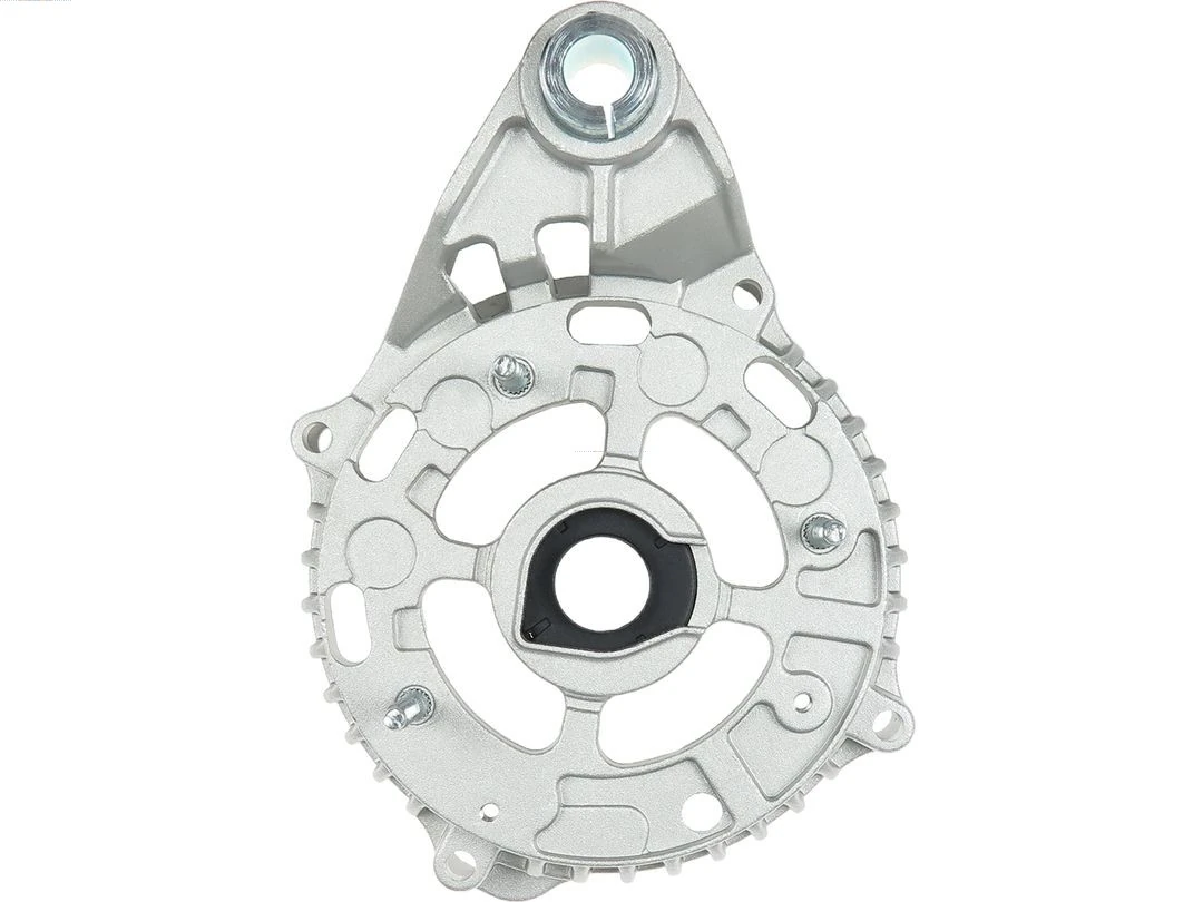 Capac protector alternator