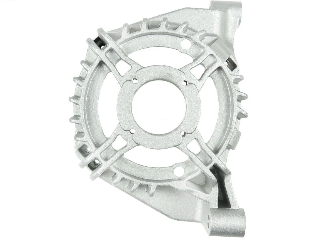 Capac protector alternator
