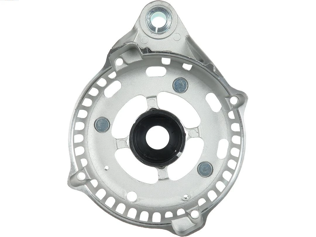 Capac protector alternator