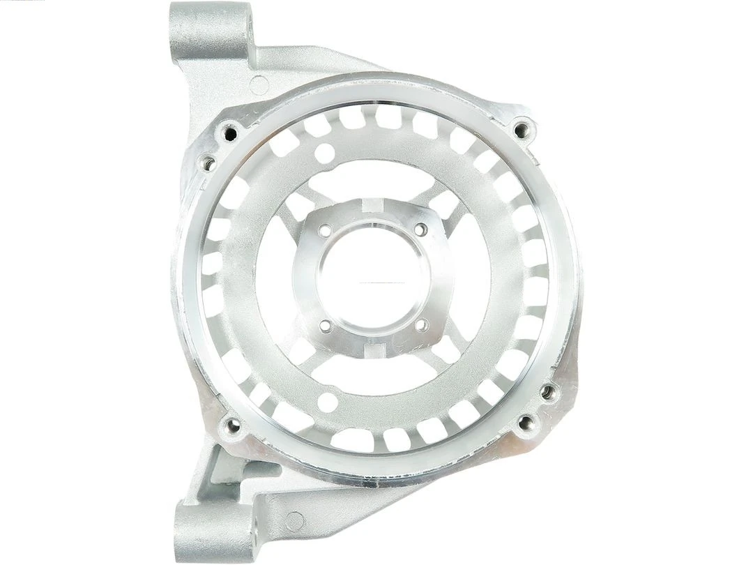 Capac protector alternator