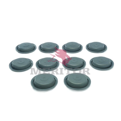 Set de montaj cilindru frana cu membrana
