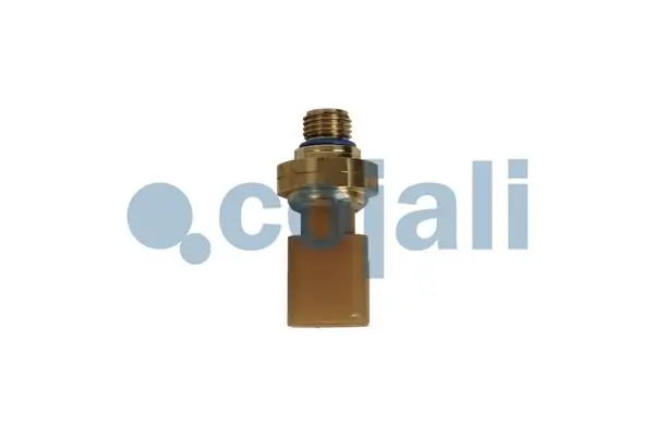 Senzor