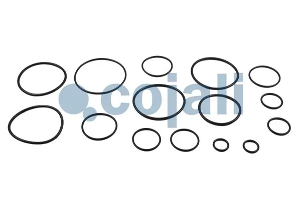Set reparatie supapa frana - frana de serviciu
