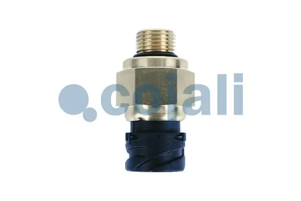 Senzor