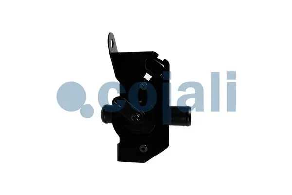Termostat lichid racire