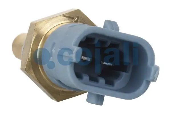 Senzor temperatura lichid racire