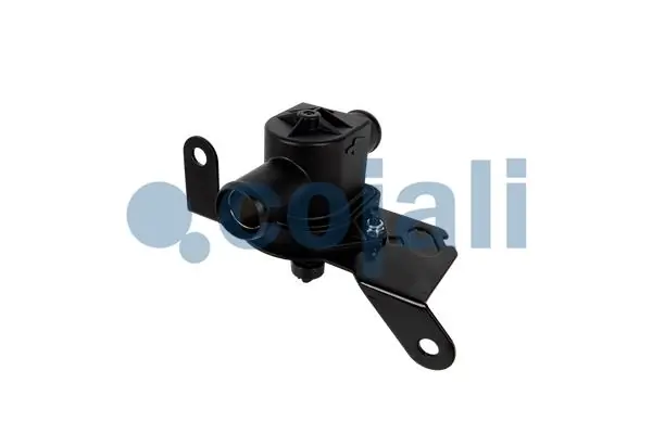 Termostat lichid racire