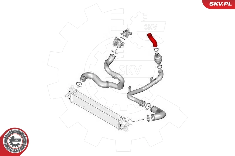 Furtun intercooler/turbo