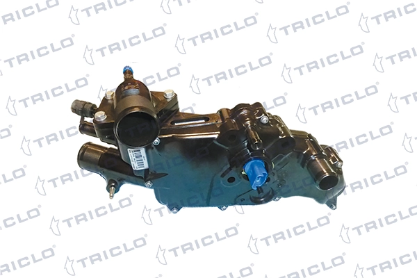 Carcasa termostat