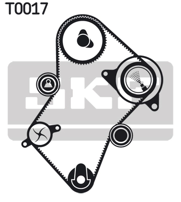 Set distributie curea