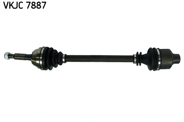 Planetara