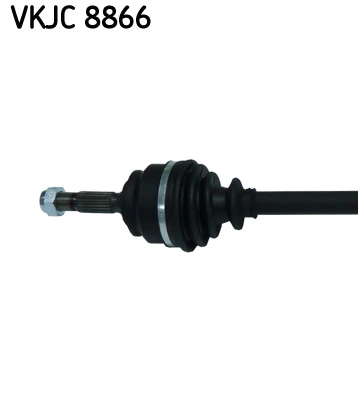 Planetara