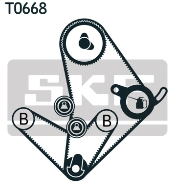 Set distributie curea