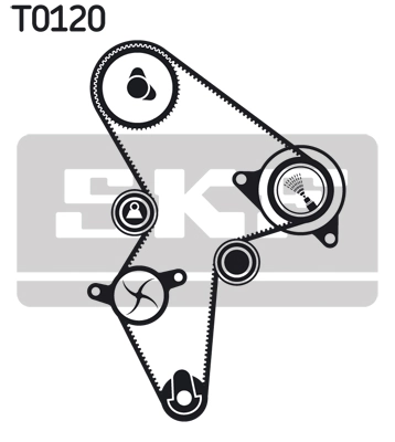 Set distributie curea