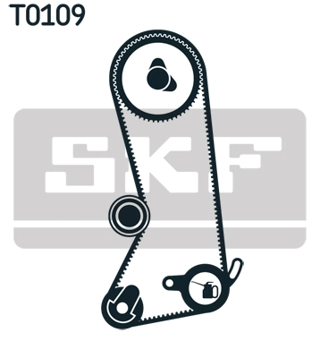 Set distributie curea
