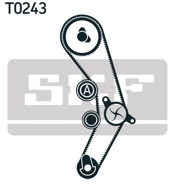Set distributie curea