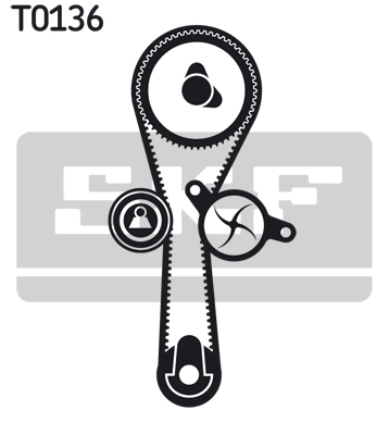 Set distributie curea