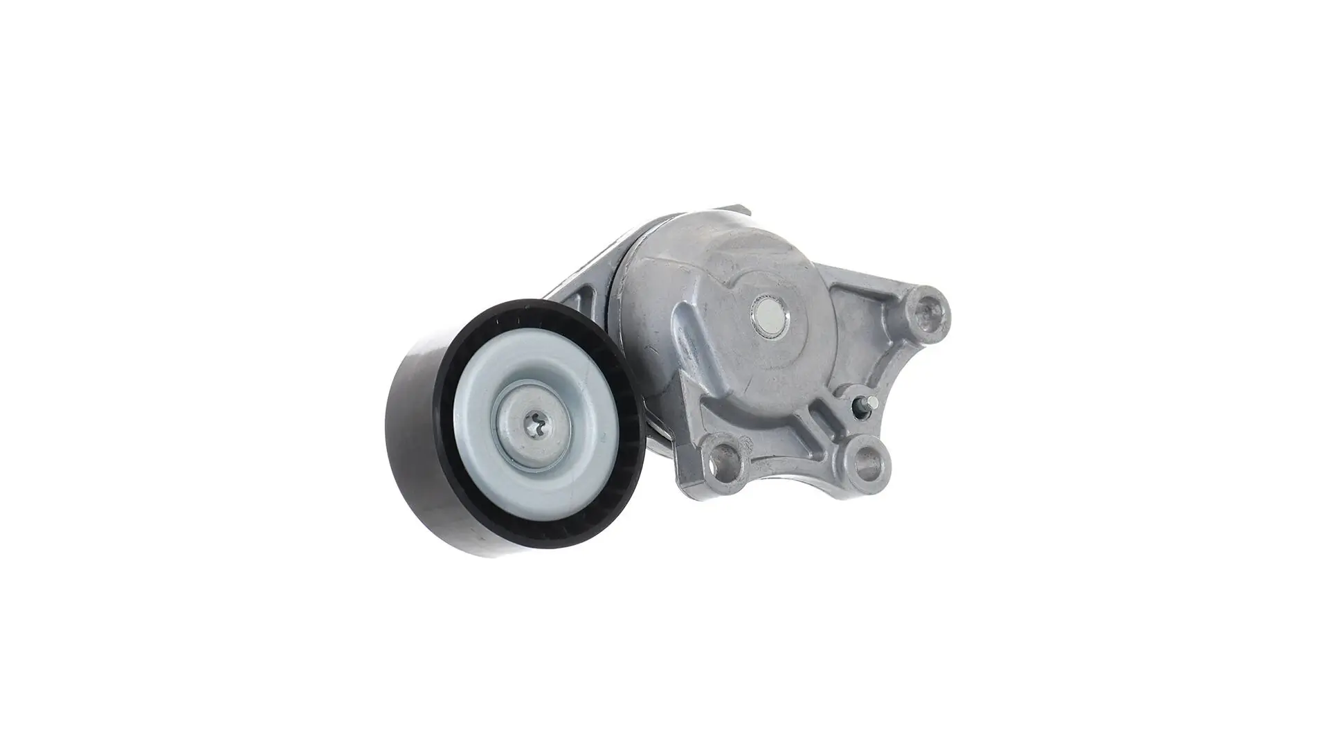 Intinzator curea distributie