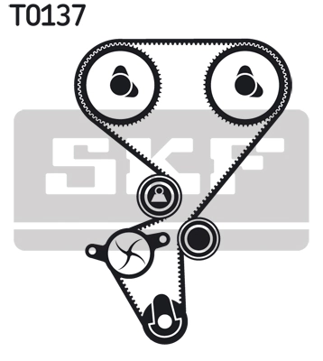 Set distributie curea