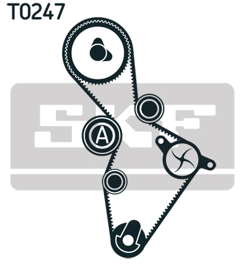 Set distributie curea