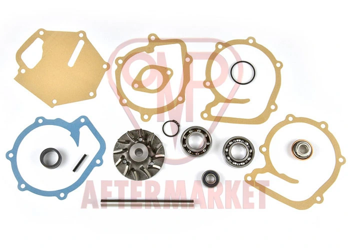 Set reparatie pompa apa