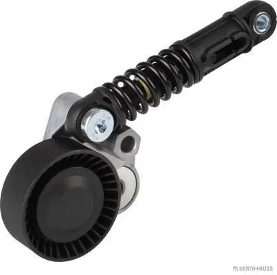 Intinzator curea distributie