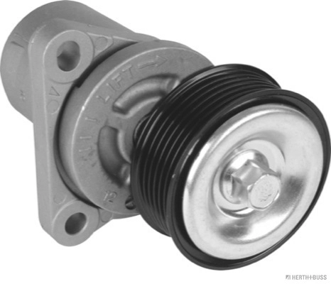 Intinzator curea distributie