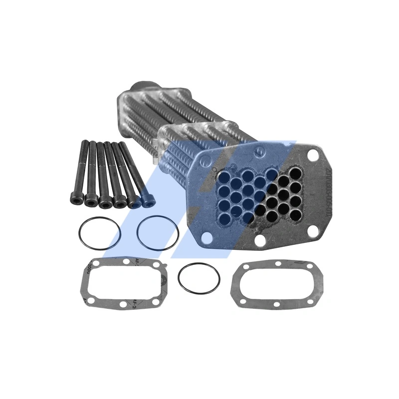 Set de reparatie, modul AGR