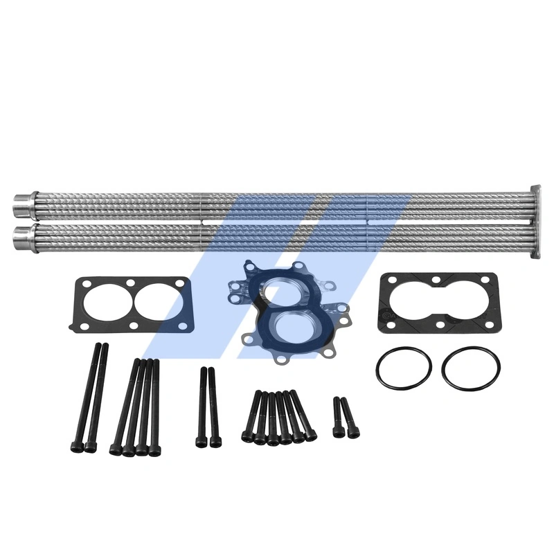 Set de reparatie modul AGR