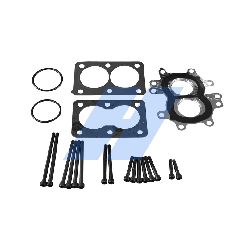 Set de reparatie modul AGR