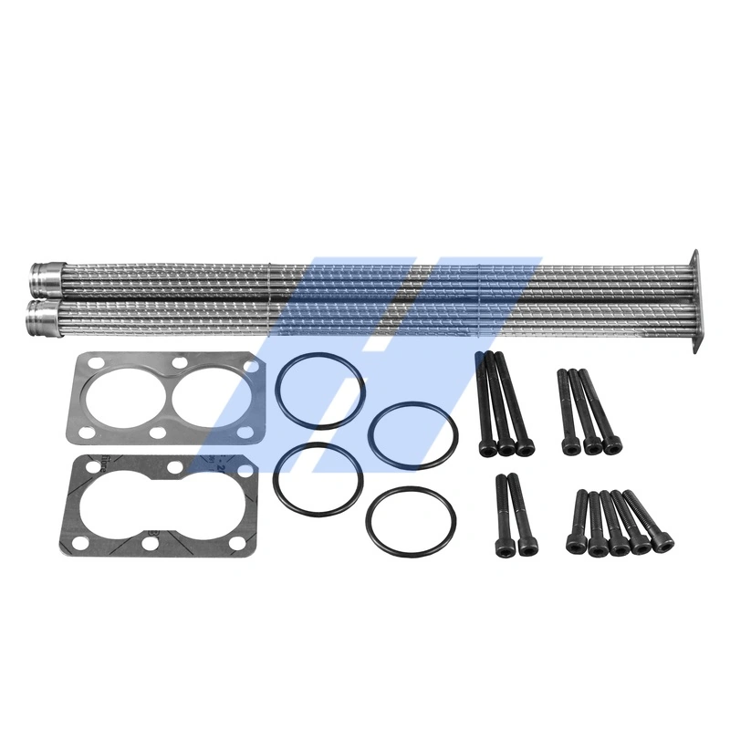 Set de reparatie modul AGR