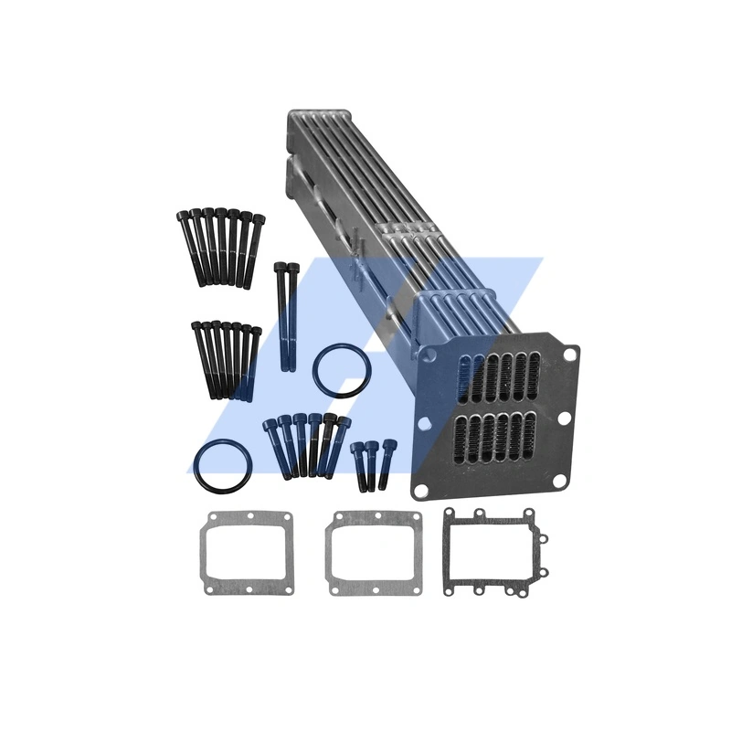 Set de reparatie modul AGR