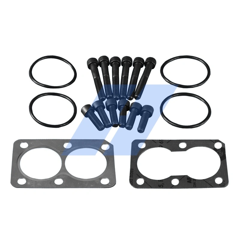 Set de reparatie modul AGR
