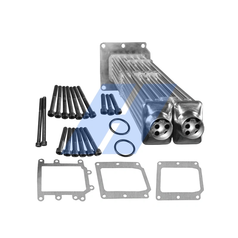 Set de reparatie modul AGR