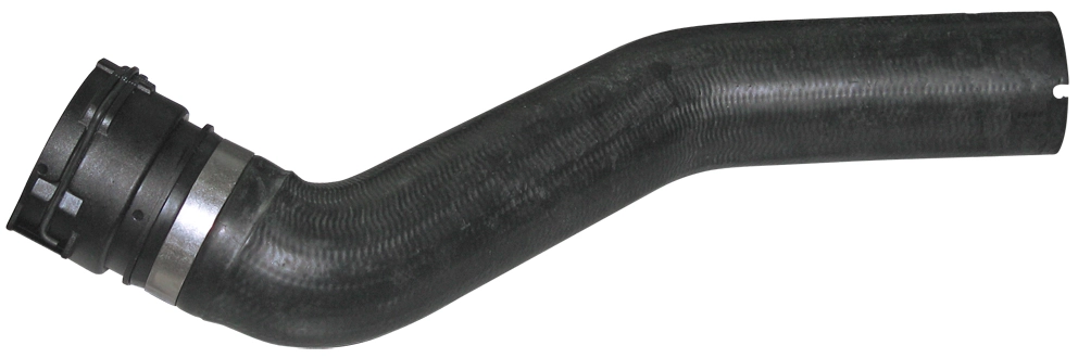Camasa