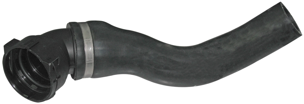 Camasa
