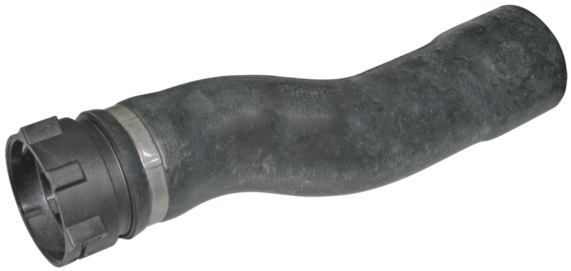 Camasa