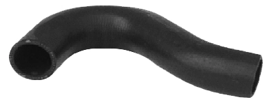 Camasa