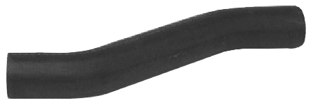 Camasa