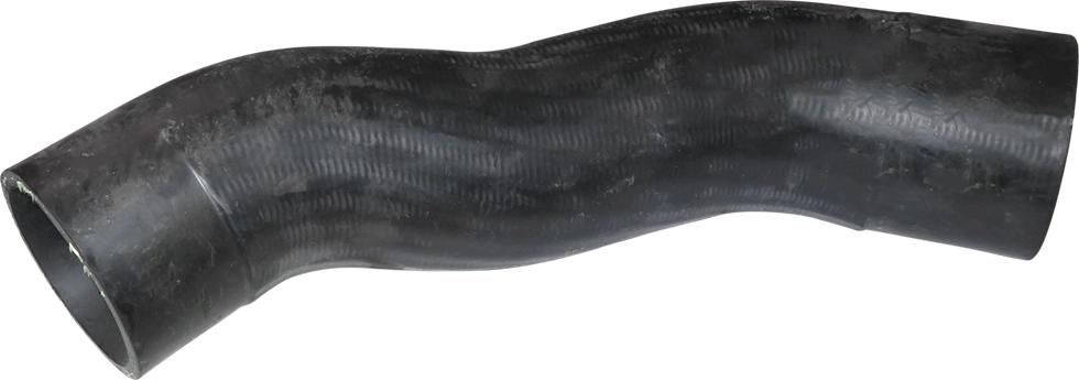 Camasa