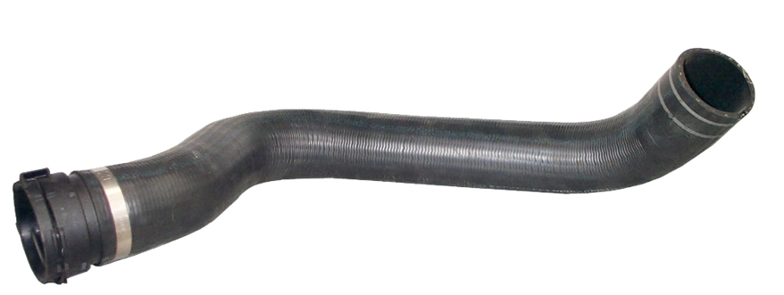 Camasa