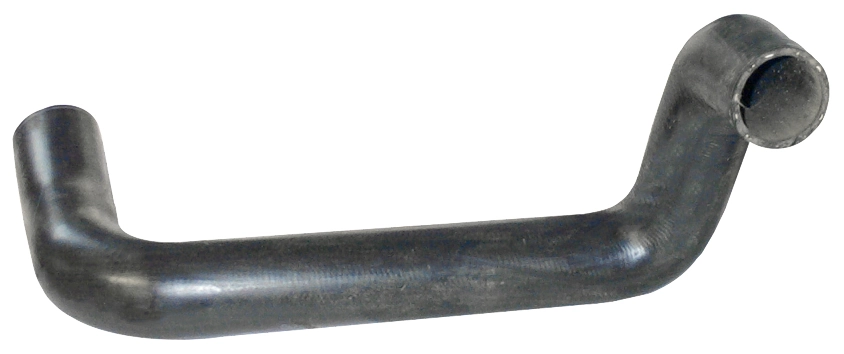 Camasa