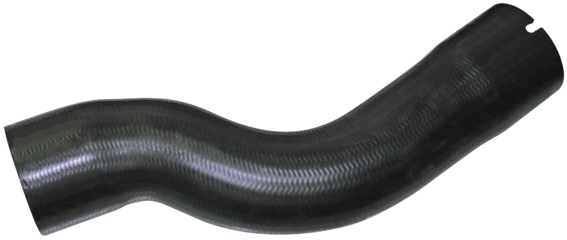 Camasa