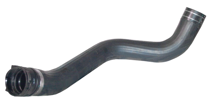 Camasa