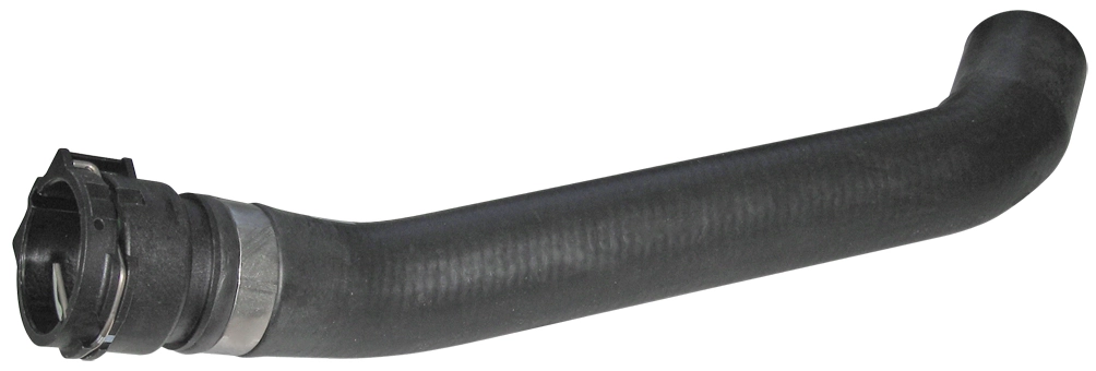 Camasa